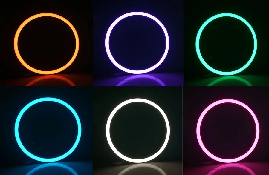 Black RGBW Color Adjustable LED Ring Light LED Circle Ring Light Suspended for Lobby Disco Bar