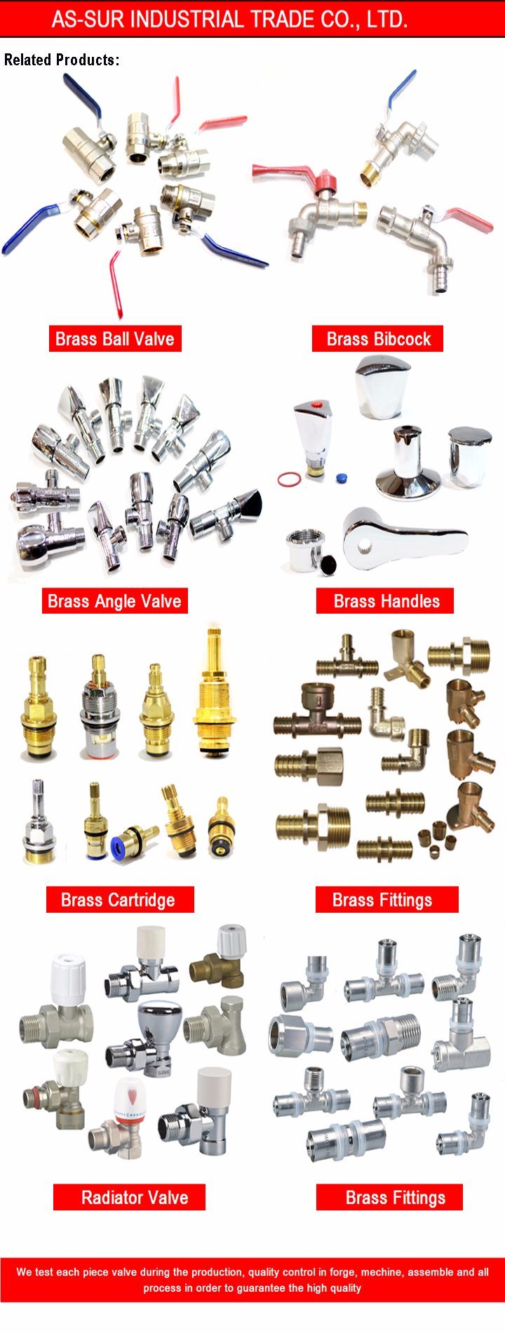 Brass Insert PPR Pipe Fittings with Male Tee