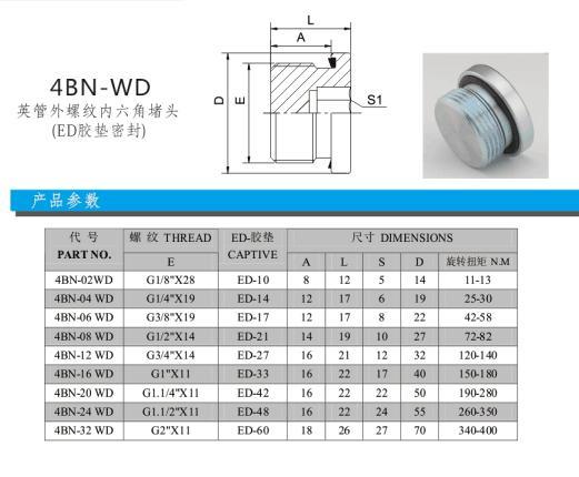 4bn Bsp Inner Hex Hydraulic Plugs with ED Sealing