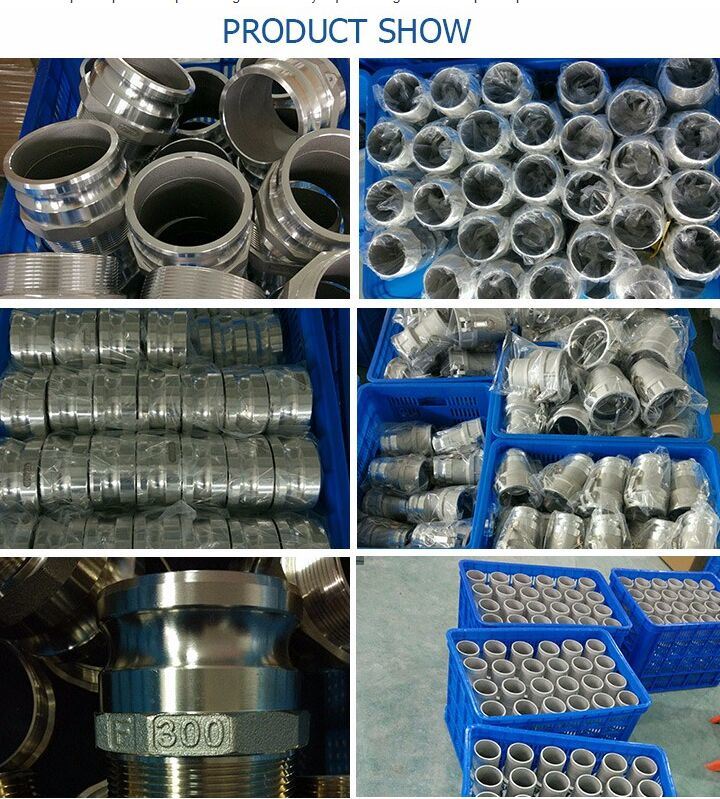 Stainless Steel Camlock Coupling Hose Type a/B/C Brass Aluminum Hydraulic Quick Coupling