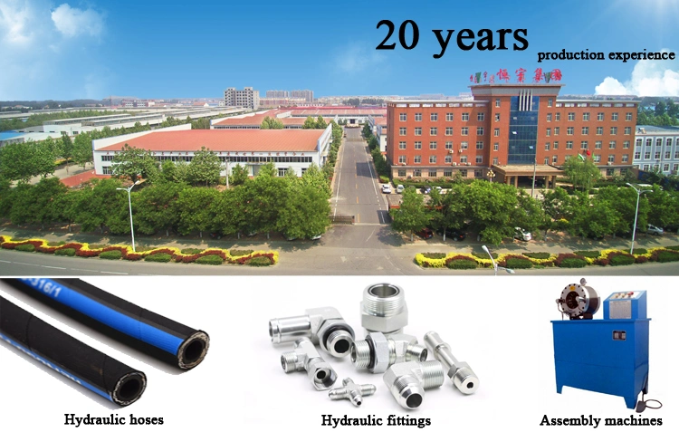 Hydraulic Hose Assembly Machines with 10 Sets Crimping Dies From China Crimping Machine Suppliers