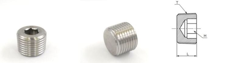 Hydraulic Adapters Stainless Steel Male NPT Hollow Hex Plug Fittings