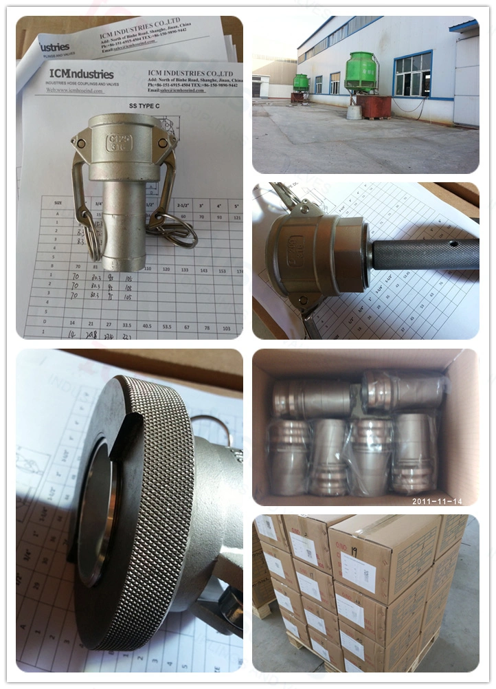 Stainless Steel Type F Threaded Camlock Quick Coupling Adapter