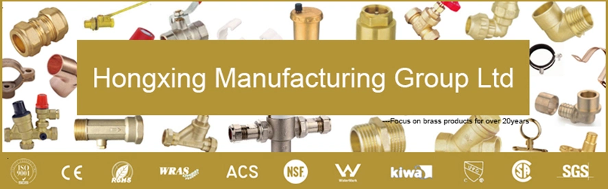 Brass Compression Fitting Straight Equal Coupling for PE Pipe