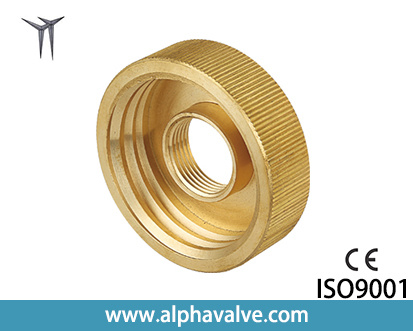 Hot Sale Brass Coupling Fitting F3/4 (a. 0339)