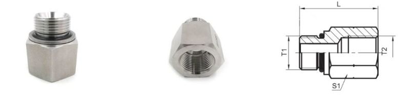 Bsp Adapter Stainless Steel Bsp Male to NPT Female Reducer