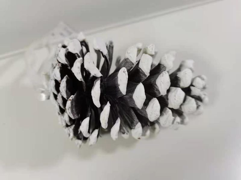 American Pine Cone Hanging Pieces, American Pine Cones, Christmas Gifts, Ornaments, White American Pine Cones, White Edge American Pine Cones