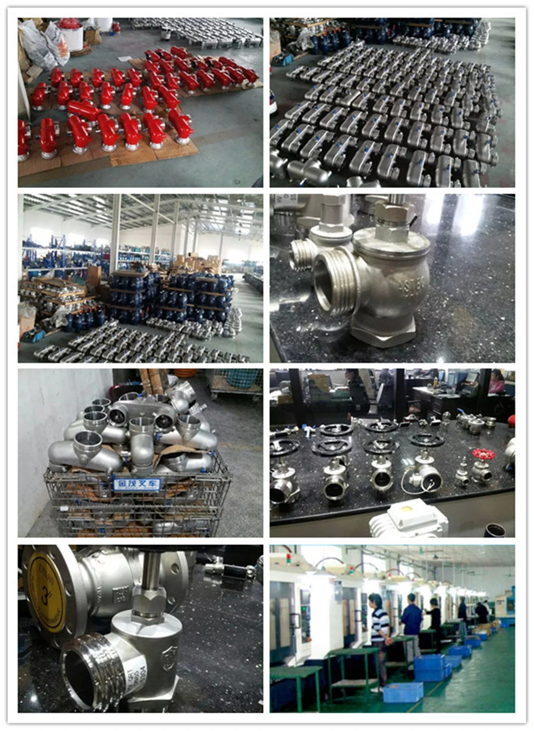 Female Male Thread BSPT Five Way Check Valve SS304 316