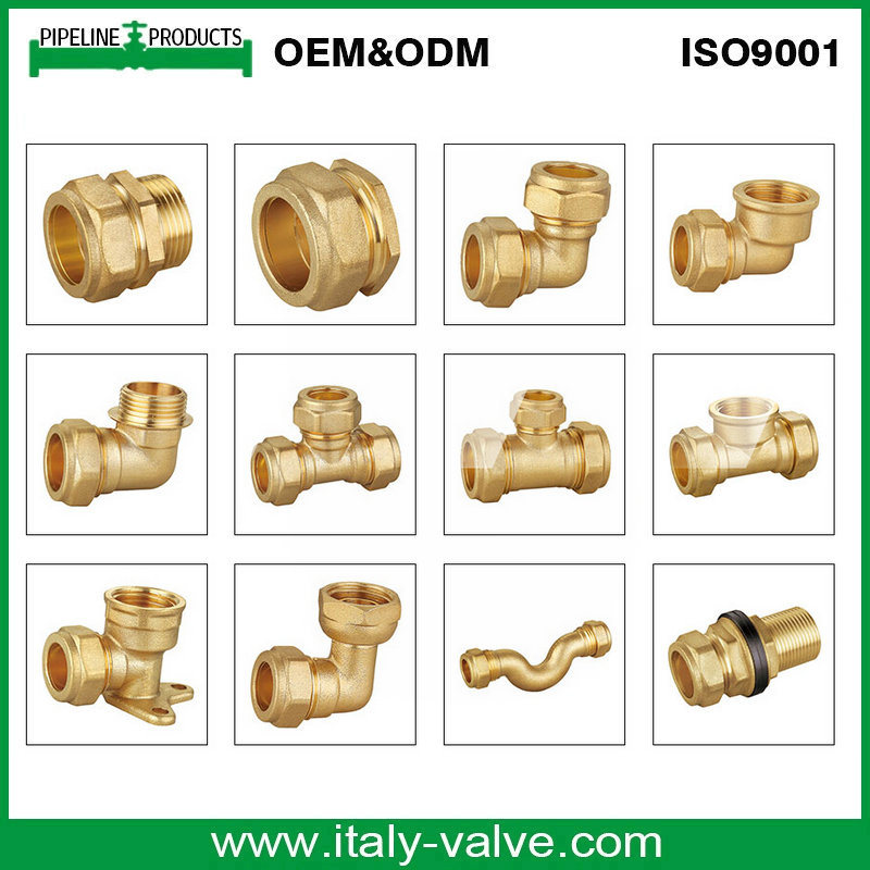 Customized Quality Brass Compression U Bend/ Pipe Fitting (AV7019)