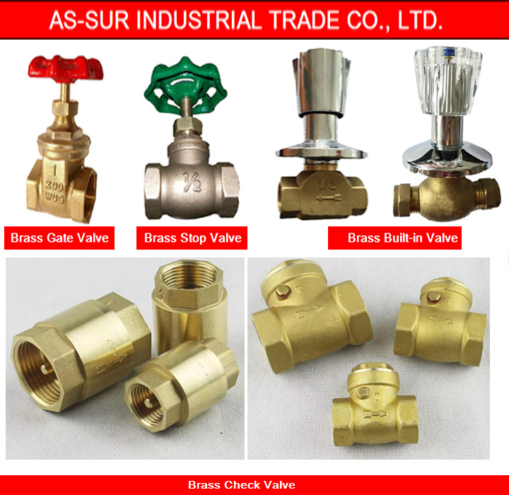 Brass Insert PPR Pipe Fittings with Male Tee