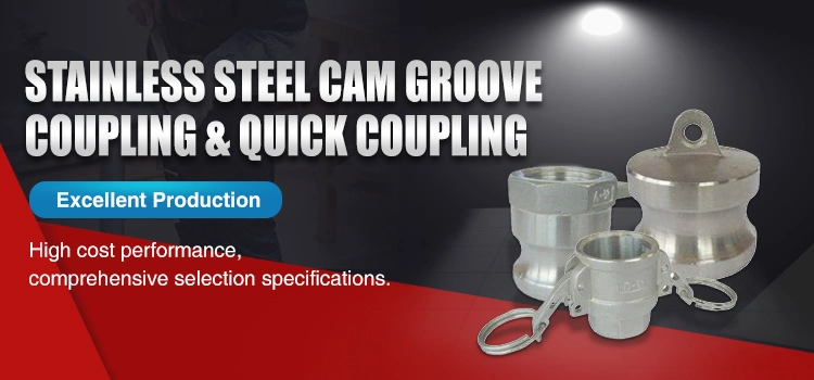 Stainless Steel Type a Camlock Quick Coupling for Hose Fittings