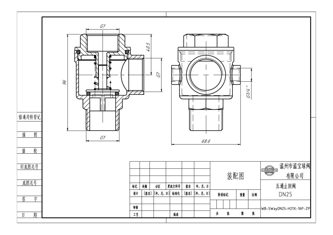 Female Male Thread BSPT Five Way Check Valve SS304 316