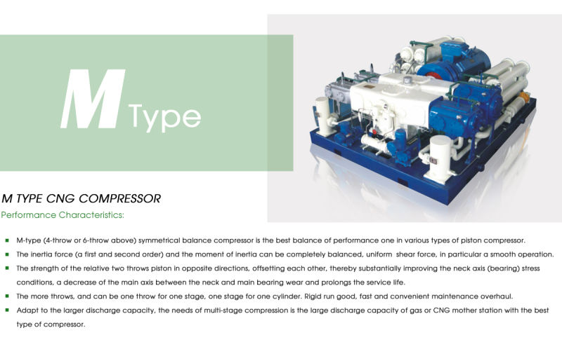 DENAIR Compressor Natural Gas Generators Engine by Methane CNG Fuel