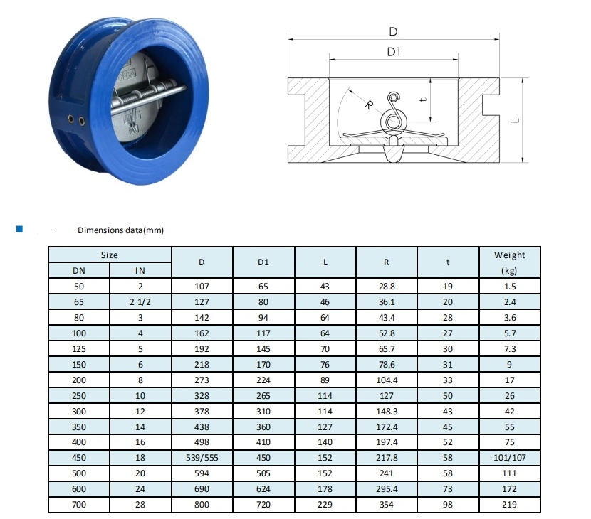 Wafer Check Valve Double Disc Iron for Water Disc SS304