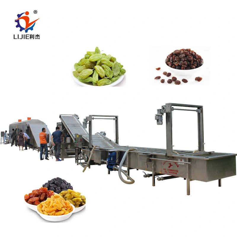 Best Price Raisin Mulberry Gravity Separator Stone Remover Processing One-Stop Solution Provider Manufacturer