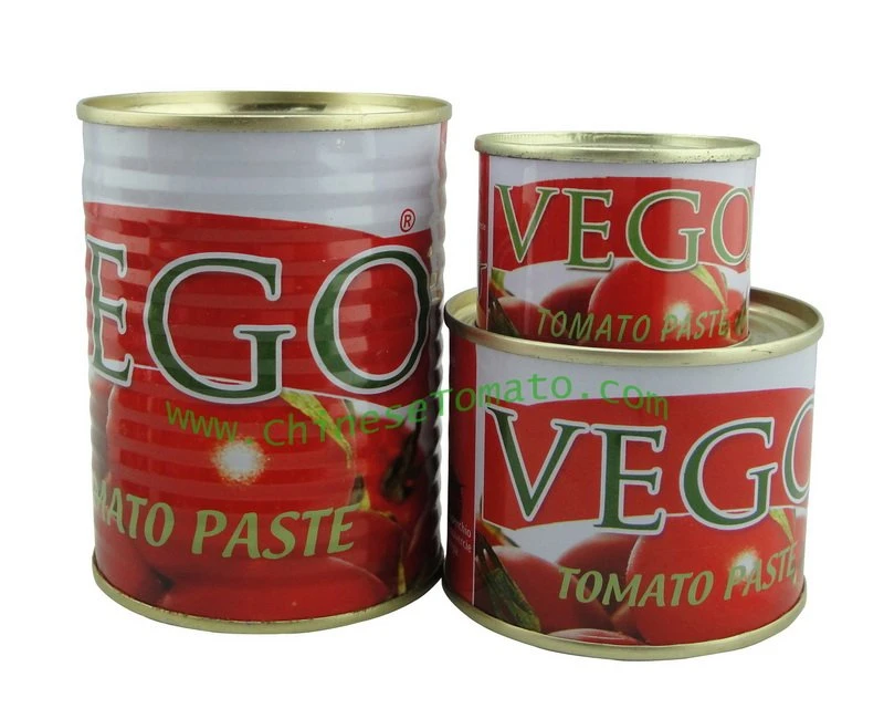 Tin Tomato Paste Factory TMT
