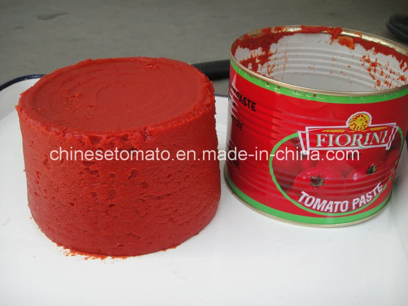 Tomato Paste China Supplier Hebei Tomato Tmt