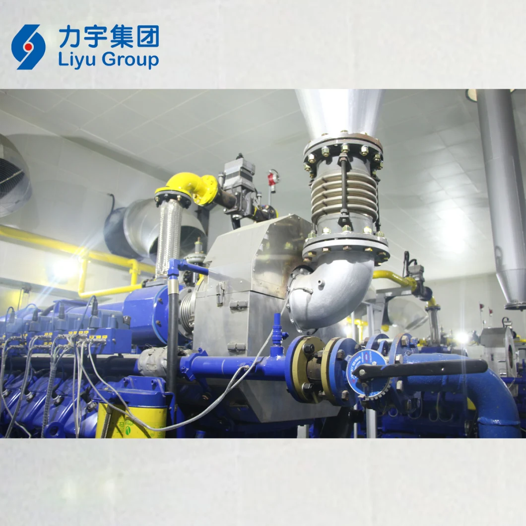 Liyu Generating Solution Provider 1500kw Low Voltage Low Concentration Methane Gas Power Generator Set