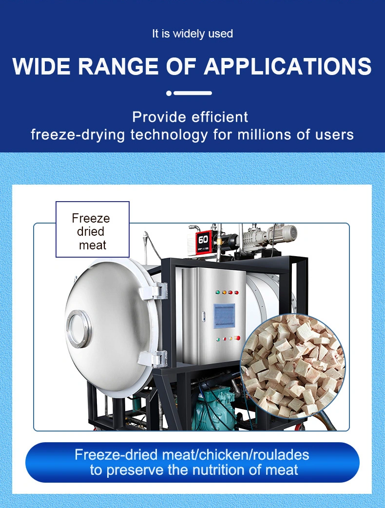 High Quality Vacuum Freeze Dry Freeze Dryer 100kg Vacuum Sealing Freeze Dried Food