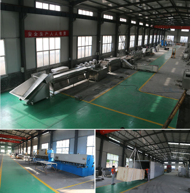 High Quality Fruit and Vegetable Dehydration and Drying Machines