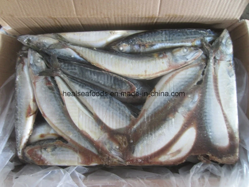 Gold Supplier of Frozen Mackerel / Grade a Frozen Pacific Mackerel