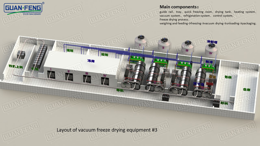 Freeze Dried Japanese Melon Vacuum Freeze Dryer Fruits Lyophilizer