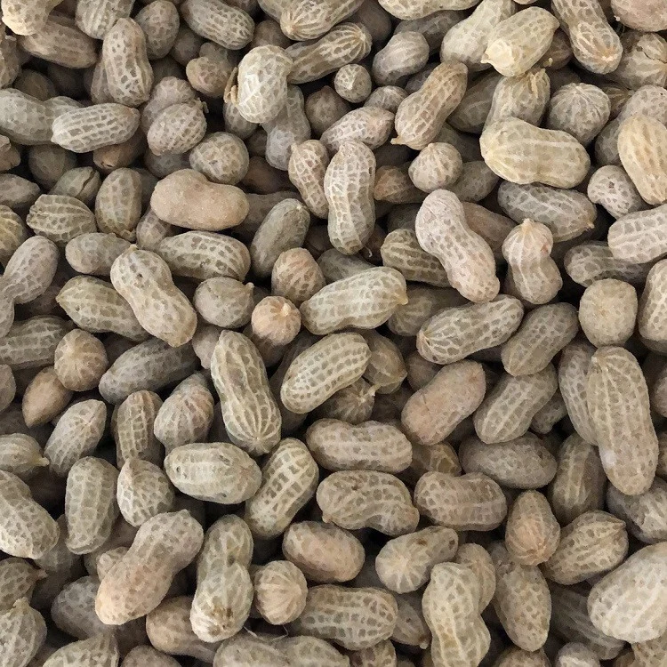 Production of IQF Frozen Boiled Peanut in Shell