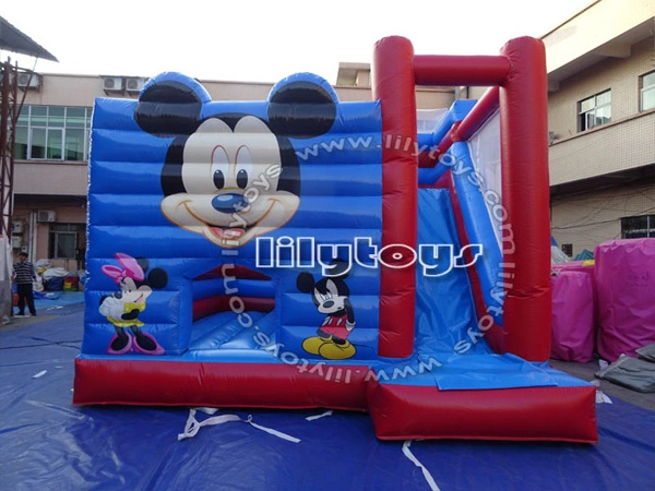 Popular Amusing Castle Inflate Combo, Inflatable Castle, Bounce Castle