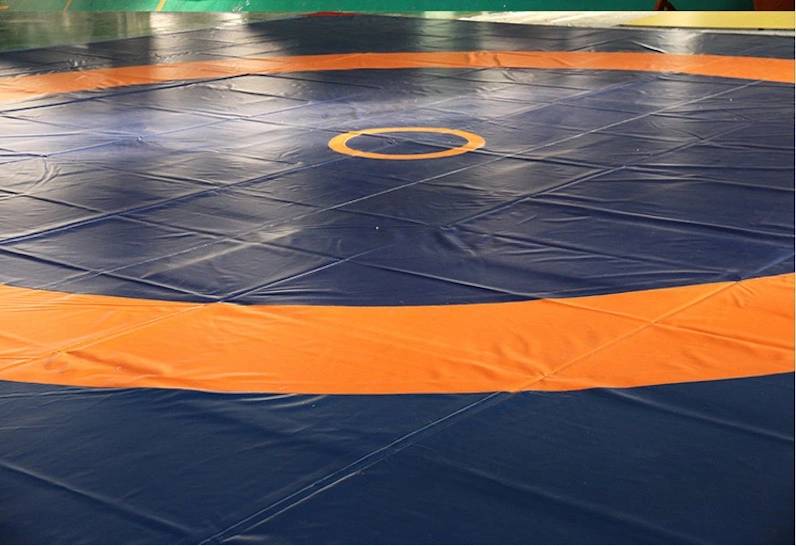 XPE Protective Carpet Gymnastics Mat for Wrestling Fighting Stretching Kickboxing Sports Practice