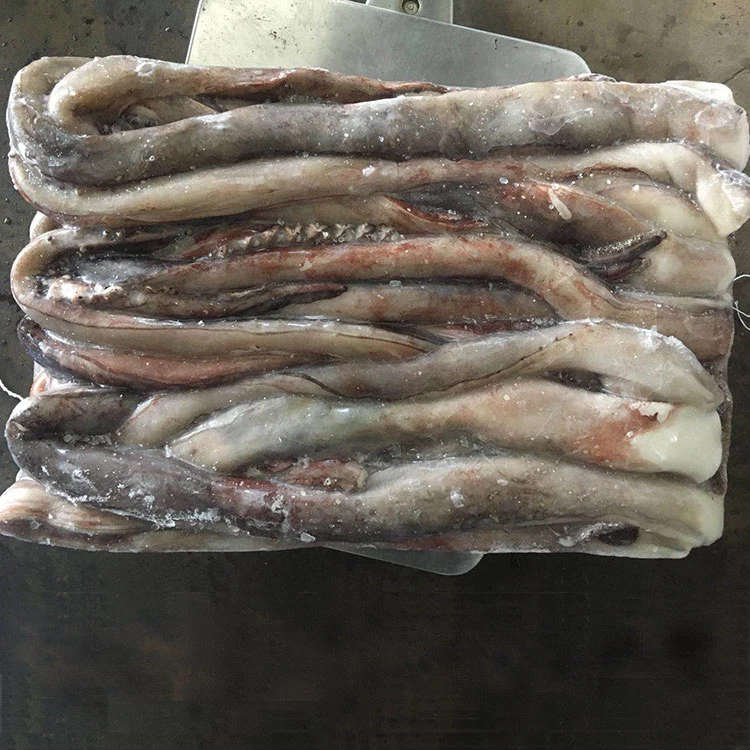 Frozen Giant Squid Tentacles with Best Price