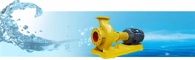Electric Motor Irrigation Cast Iron Clean Water Electric Surface Pump