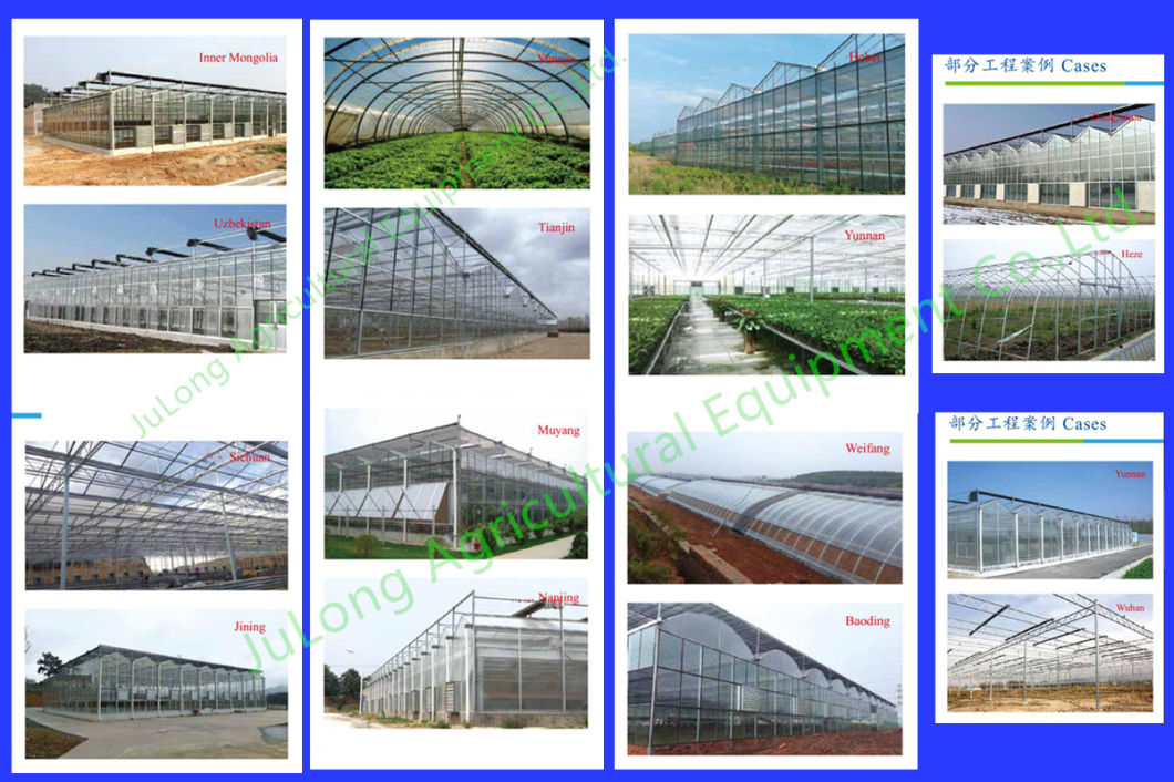 High Tunnel Multi-Span Greenhouse with 200 Micron Plastic Film Covering