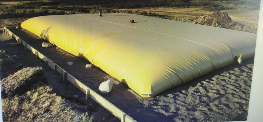 Agriculture Farm Irrigation Tank Inflatable Plastic Water Bladder Storage Tank
