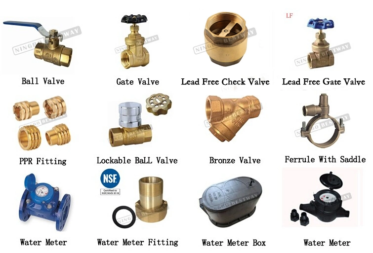 Brass Flare Fittings with Thread and Flare End