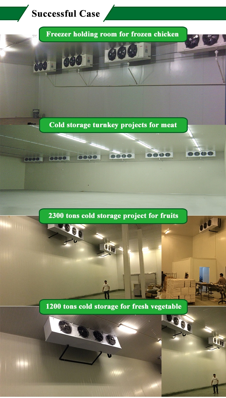Canned Juice Frozen Flying Fish Roe Cold Storage Equipment for Meat Cool Room Door Lock Walkin Cooler
