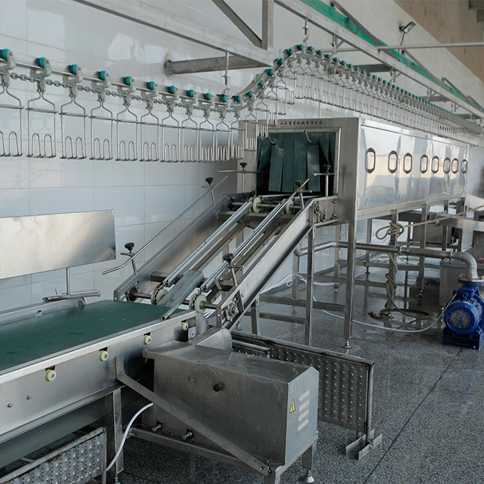Chicken Slaughter, Poultry Slaughter/Duck Slaughter/Broiler Chicken Slaughter Equipment