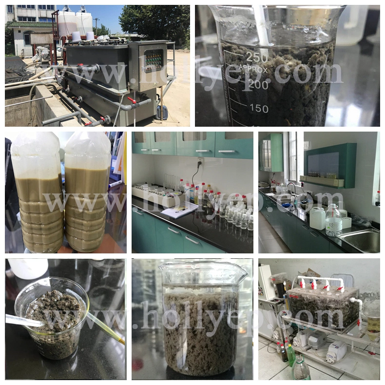 Mobile Fully Automatic Filter Press Activated Sludge Wastewater Treatment