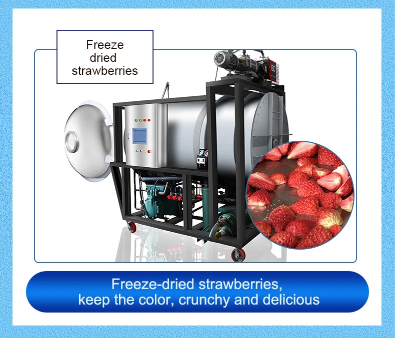 100kg Industrial Freeze-Dried Fruit /Food /Juice Vacuum Freeze Dryer