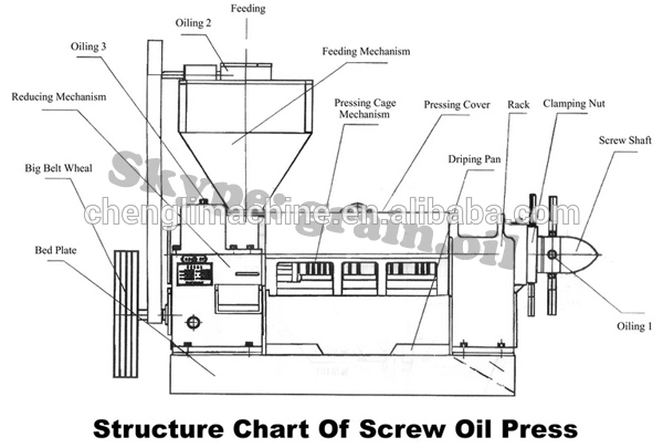 Automatic Screw Hot & Cold Oil Press/Mill/Machine for Press Plants Seeds