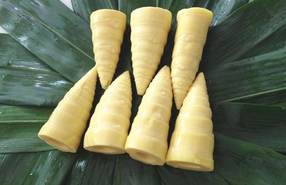 18kg Canned Bamboo Shoots in Plastic Drum