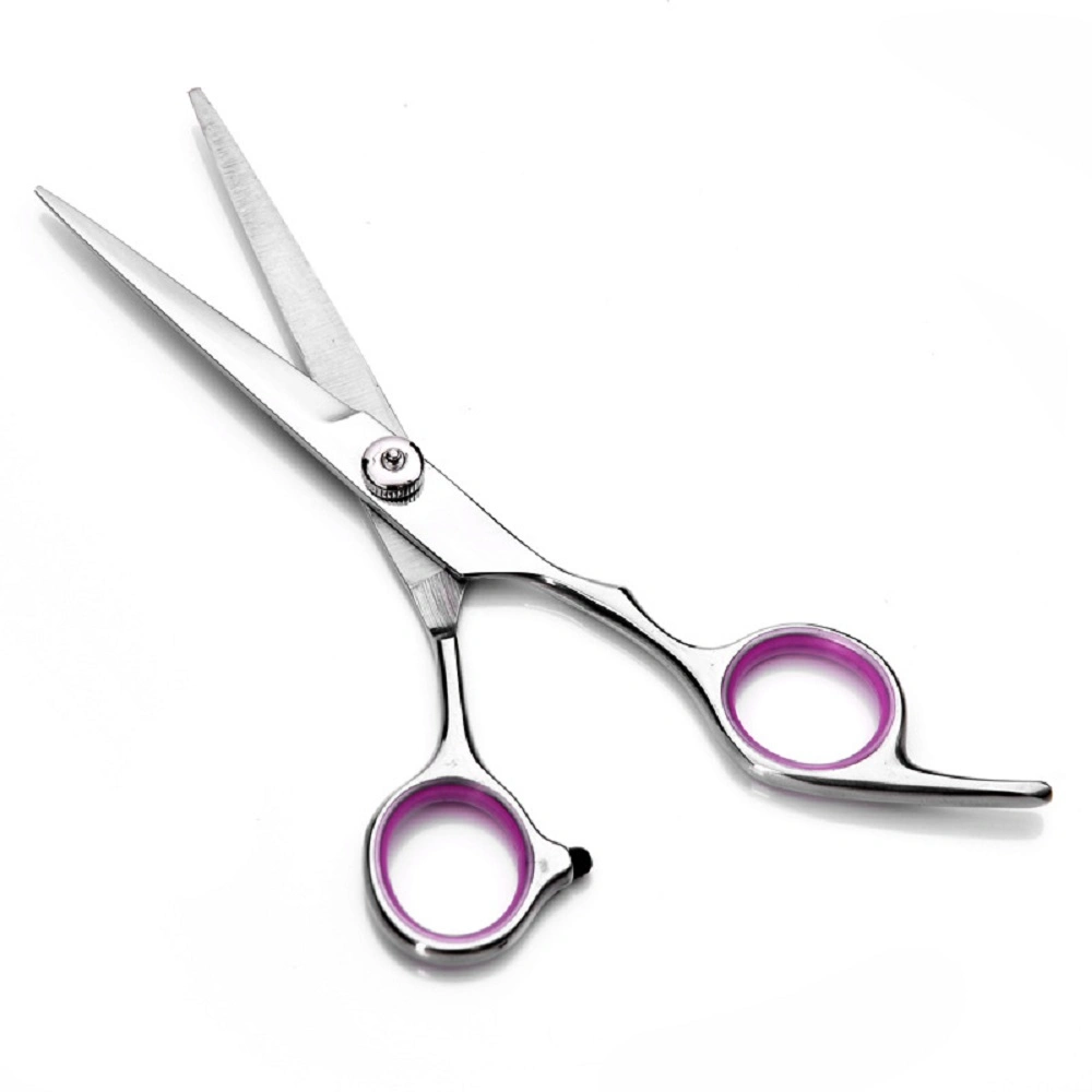 Hairdressing Scissors, Professional Salon Hair Cutting Thinning Scissors Barber Shears Hair Cutting Tools Set with Black Case, Apriller (Silver) Esg10293