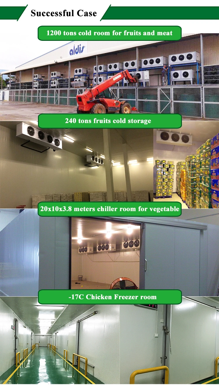 Frozen Salmon Fish Frozen Clam Cold Freezer Cold Room Sizes Modular Cold Room Suppliers