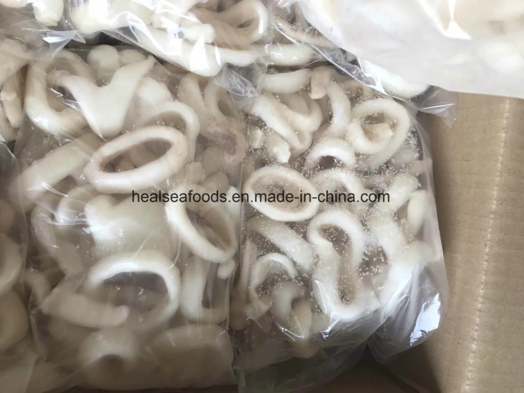 Best Quality Frozen Squid Rings /Pacific Squid