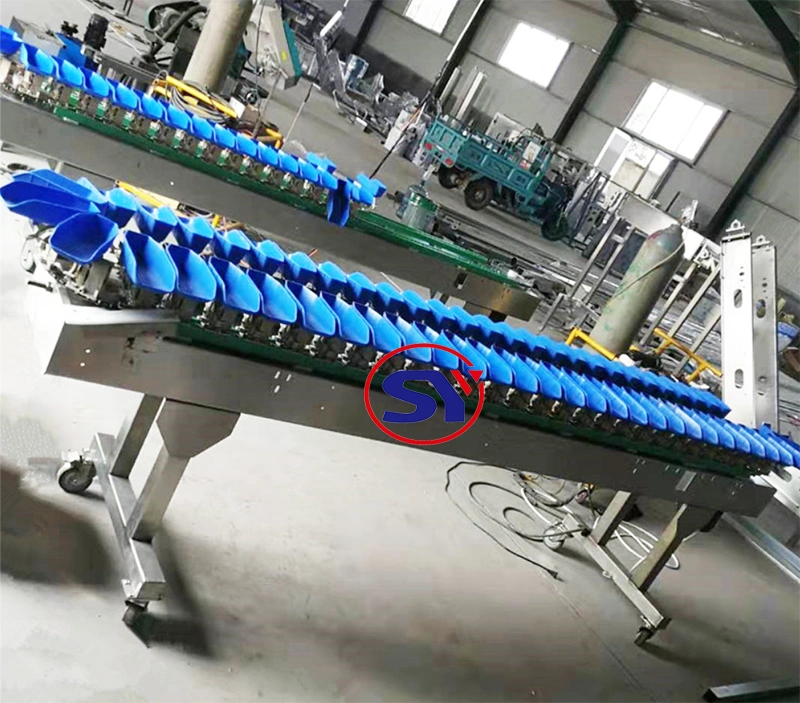 Accurate Automatic Sorter Shrimp Crayfish Weigh Sorting Equipment Check Weigher