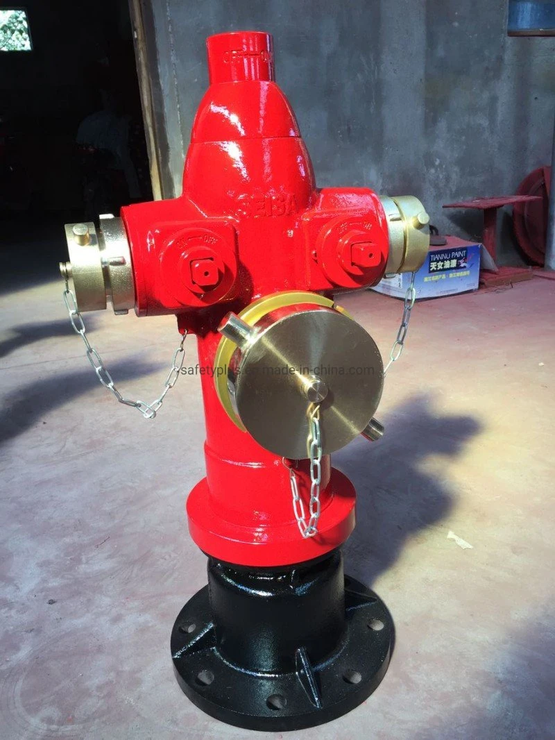 2.5'' Two Outlet Outdoor Pillar Fire Hydrant