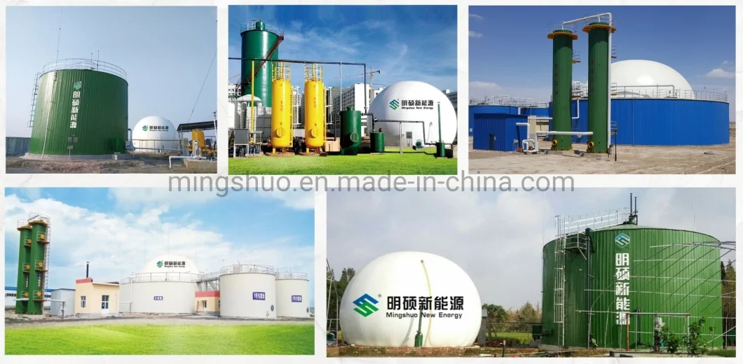 Auto Flexible Gas Storage Holder Tank Container for Biogas Plant