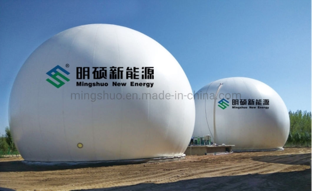 Flexible Membrane Dome Gas Storage Bag Tank Container for Biogas