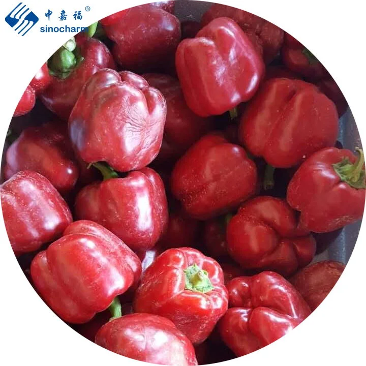 Sinocharm Brc-a Approved Top Quality IQF Frozen Red Sweet Bell Pepper Whole