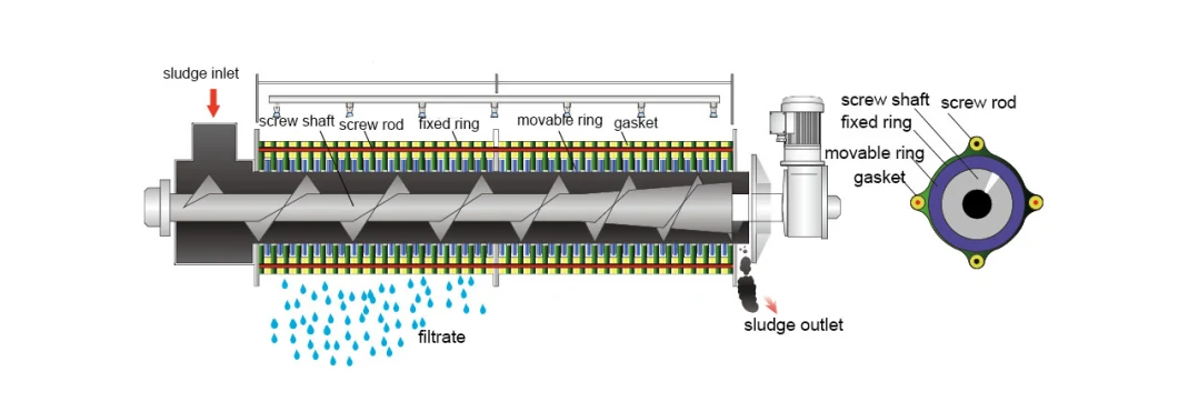 Screw Press Filter Sludge Dewatering Machine for Sludge Treatment