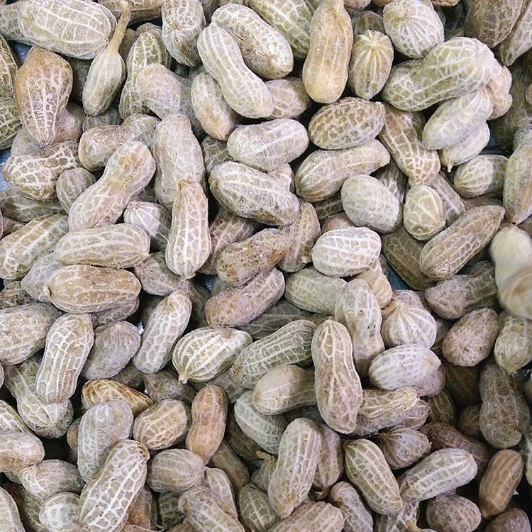 Production of IQF Frozen Boiled Peanut in Shell